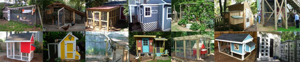 coopsarray2011.jpg