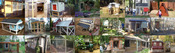 coops590x180.jpg